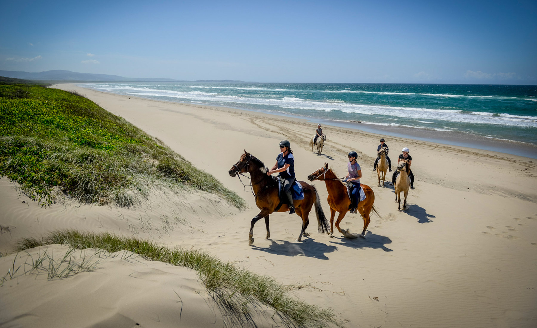 Things to do in Berry | Horseriding
